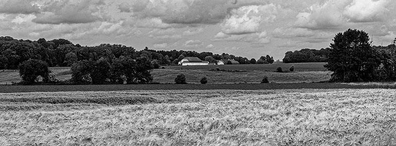 Ferme de la Neuve-Cour 2025/06